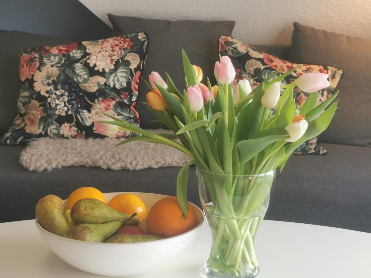 Suite Beach 5 Rooms 2 Bathrooms 1 Kitchen 1 Piano Ostseebad Kühlungsborn Exterior foto